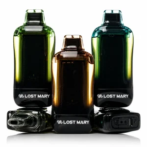 Lost Mary VIZ 55k